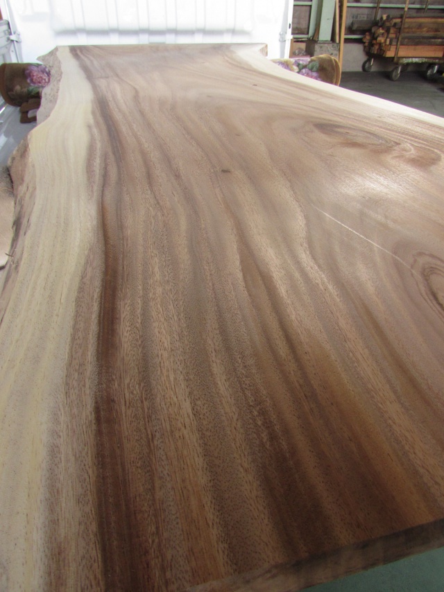 モンキーポッド 一枚板