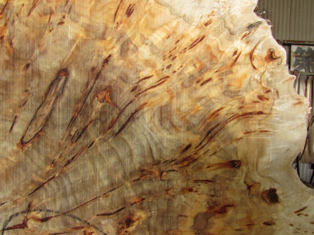 ポプラ　無垢材