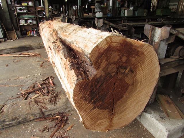 米杉(ベイスギ) 無垢材