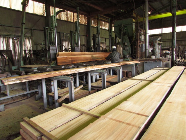 米杉(ベイスギ) 無垢材