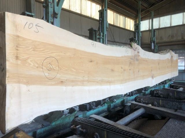 銀杏（イチョウ）　無垢材