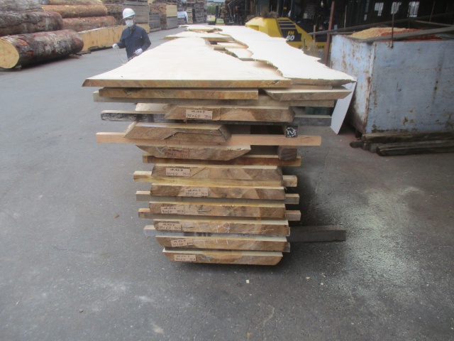 銀杏（イチョウ）　無垢材