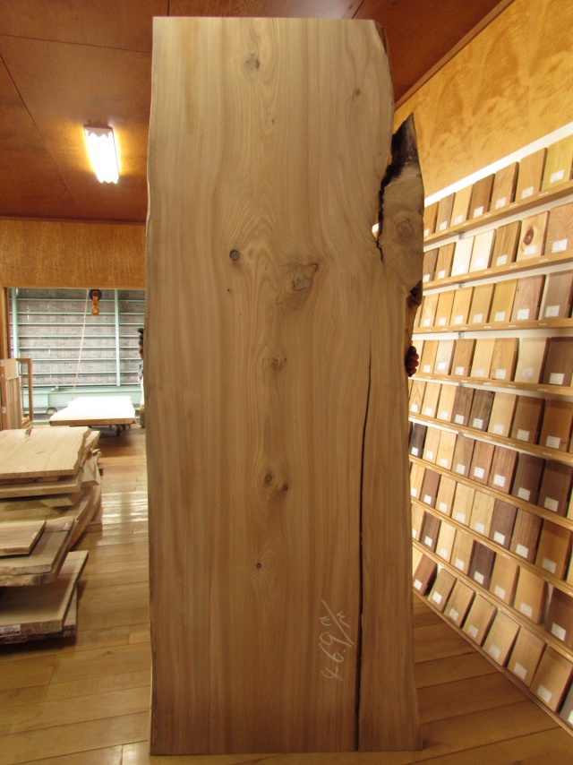 楡（ニレ）　一枚板