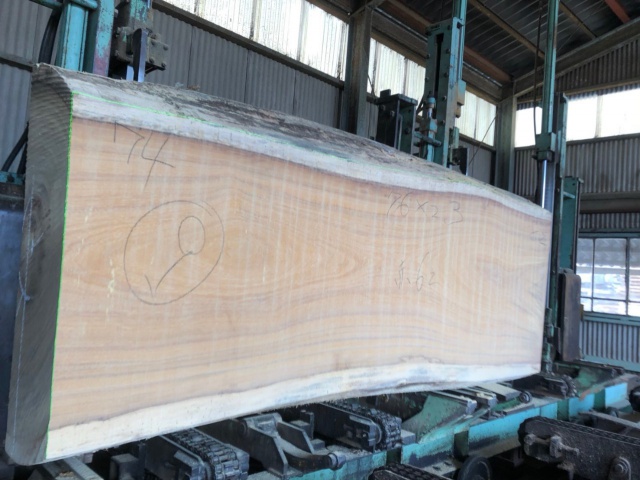 イロコ　無垢材