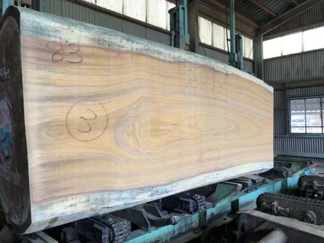 イロコ　無垢材