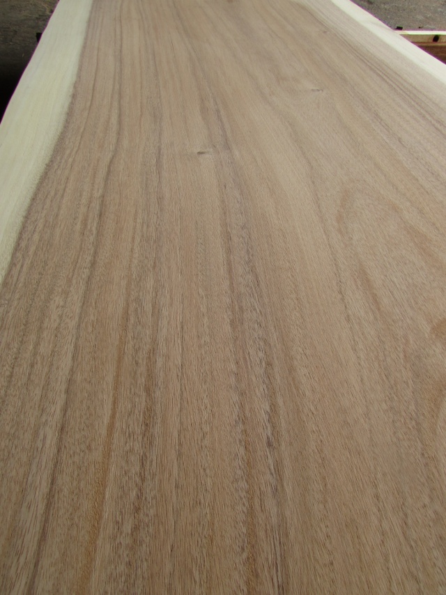 モンキーポッド　一枚板