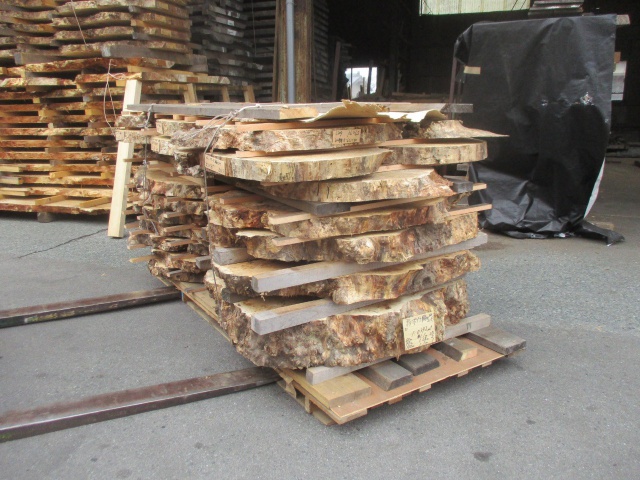 セイヨウポプラ　無垢材