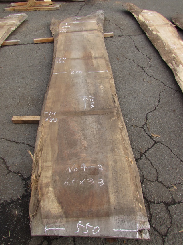 モンキーポッド　一枚板