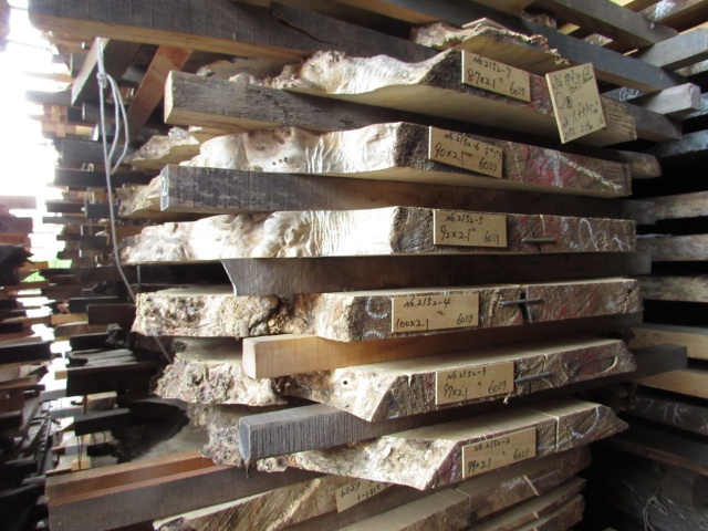 セイヨウポプラ　無垢材