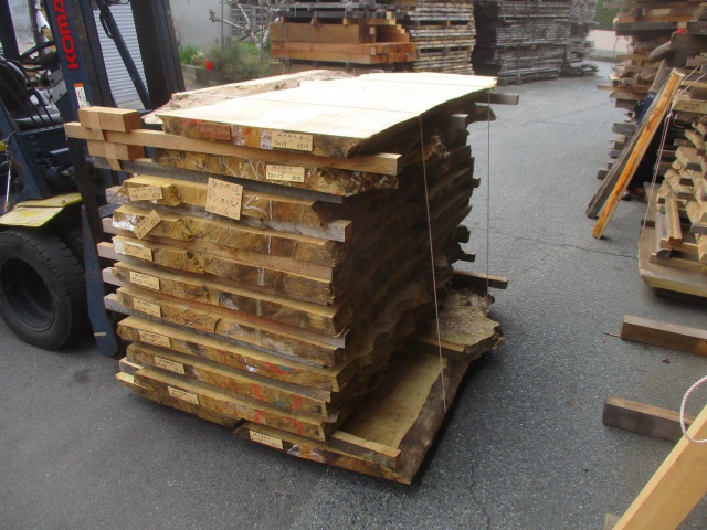 セイヨウポプラ　無垢材