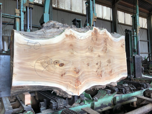 セイヨウポプラ　無垢材