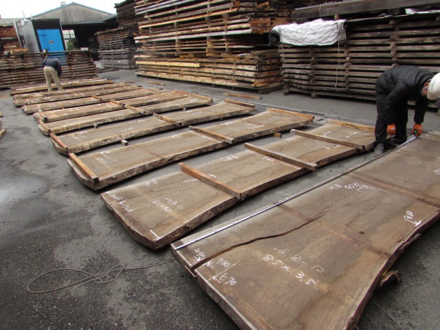 モンキーポッド　一枚板