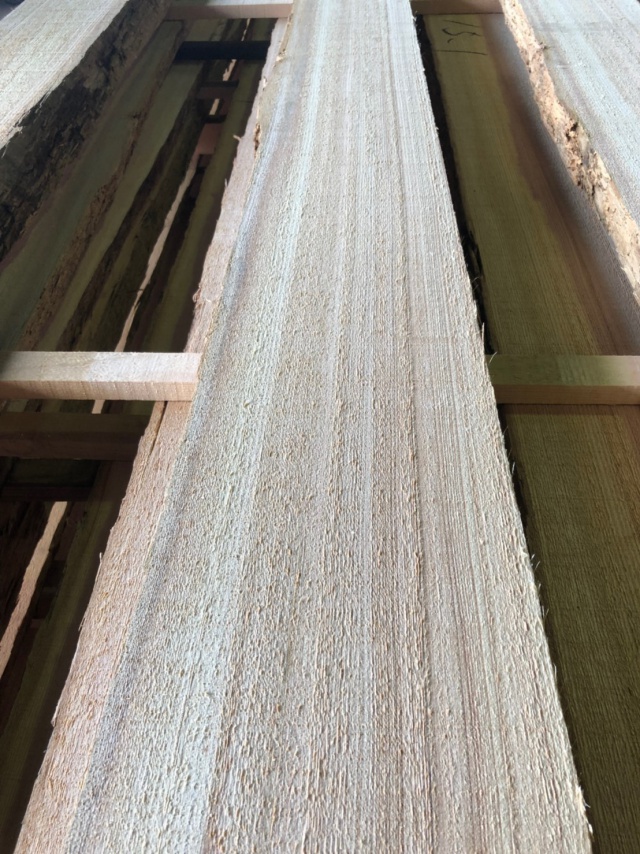 杉（スギ）　無垢材