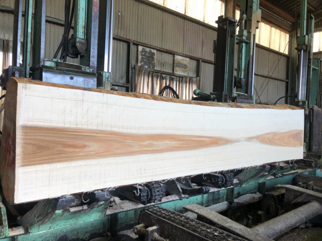 目白樺（メジロカバ）　無垢材