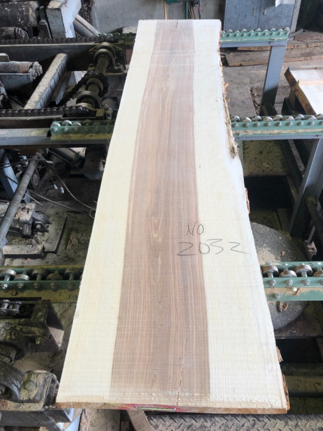 目白樺（メジロカバ）　無垢材