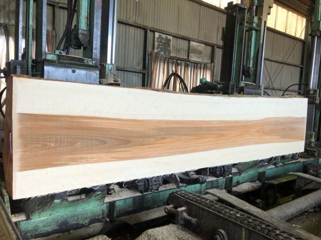 目白樺（メジロカバ）　無垢材