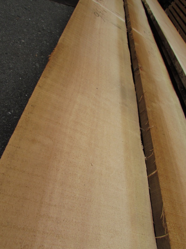 スプルース　無垢材