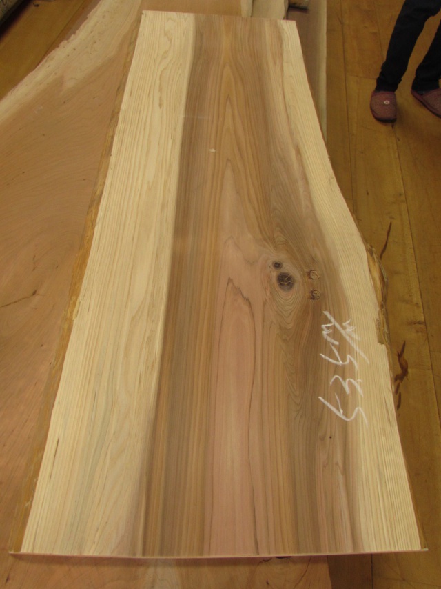 杉（スギ）　一枚板