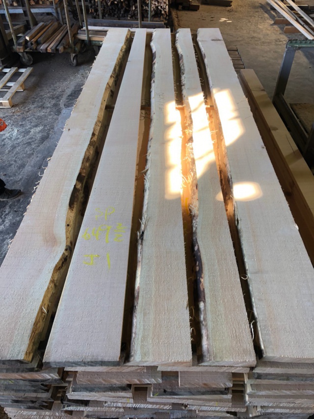 スプルース　無垢材