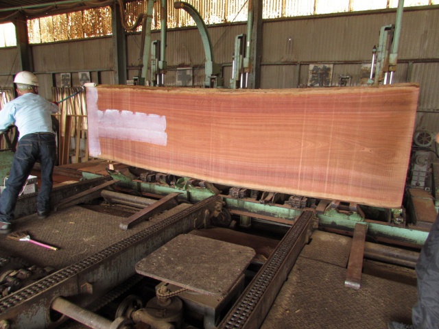 サペリ　無垢材