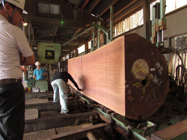 サペリ　無垢材