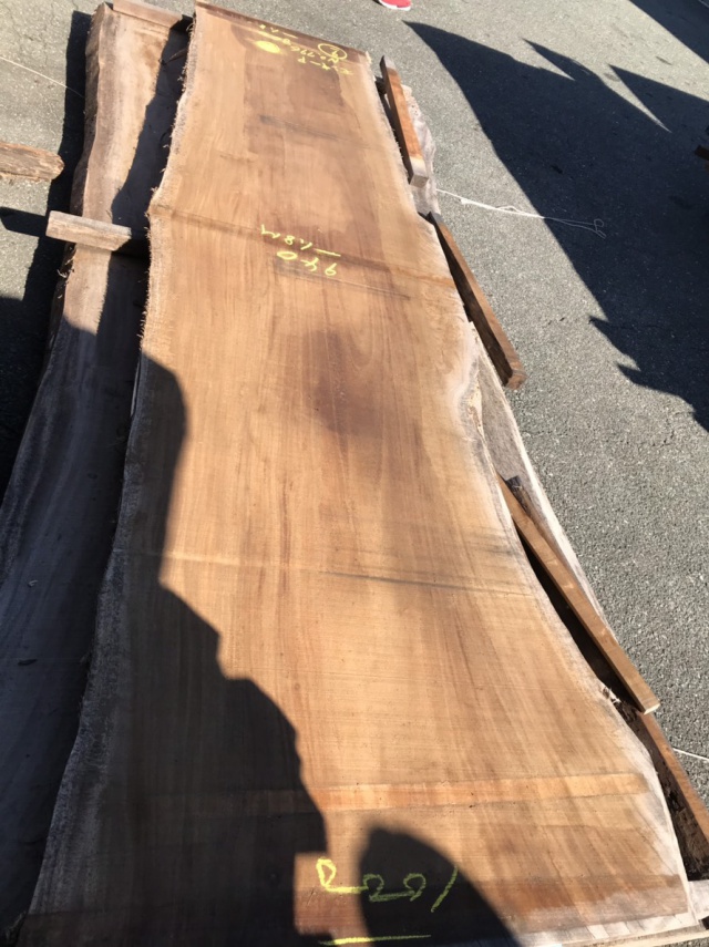 モンキーポッド　一枚板