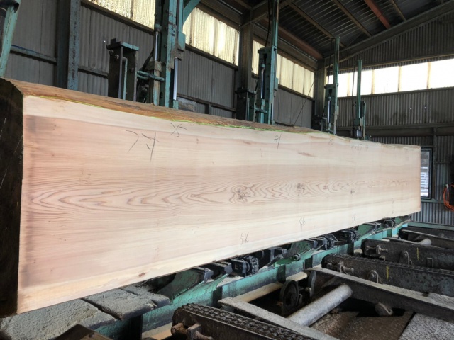 杉（スギ）　無垢材