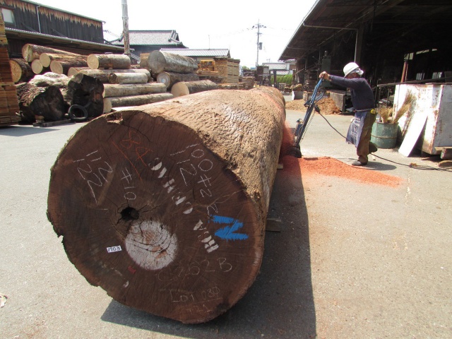 サペリ　無垢材