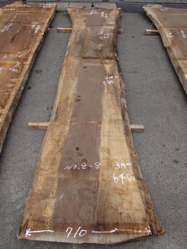 モンキーポッド　一枚板