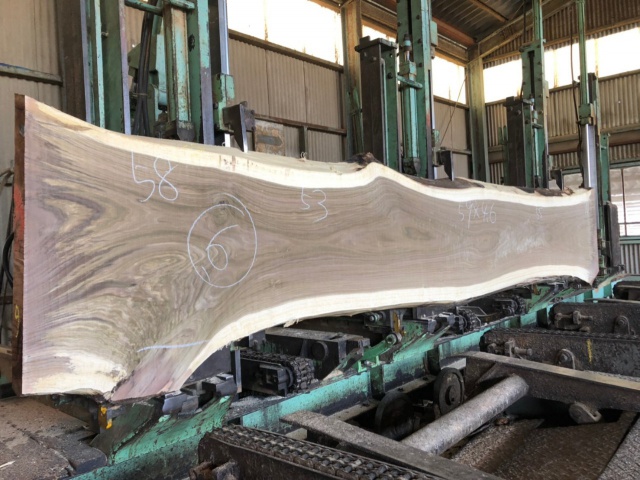 ウォールナット　無垢材