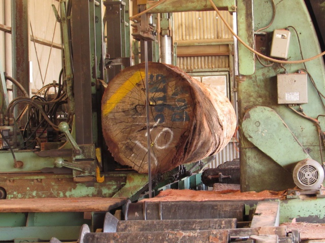 バーケラ　無垢材