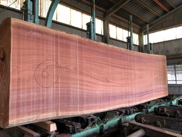 サペリ　無垢材