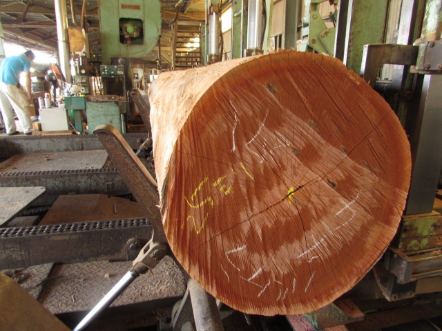 バーケラ　無垢材