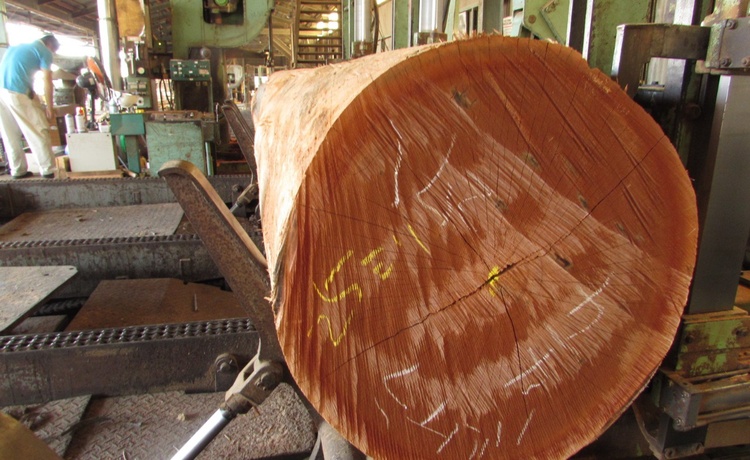 “赤色”木材！『バーケラ』『サペリ』の丸太を家具用に製材しました。他