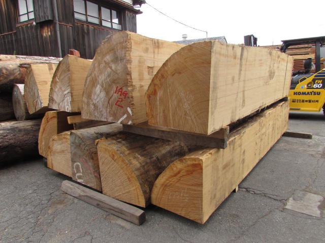 アガチス　無垢材