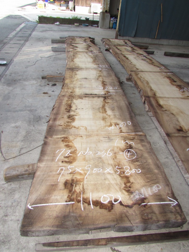 楠（クス）　一枚板