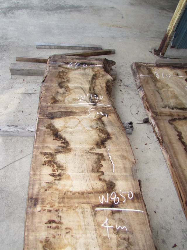 楠（クス）　一枚板