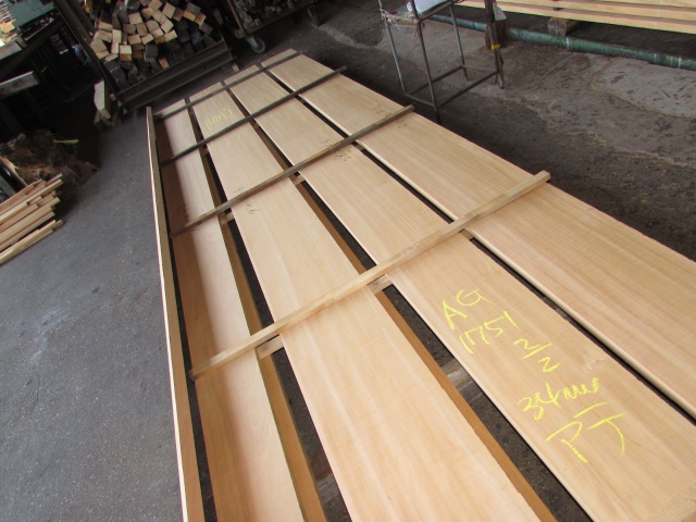 アガチス　無垢材