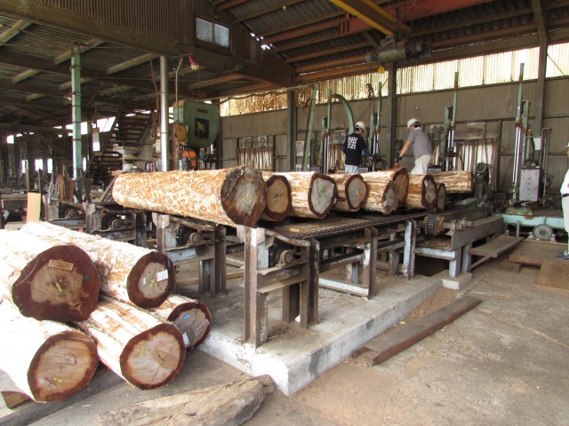 浅田（アサダ）　無垢材