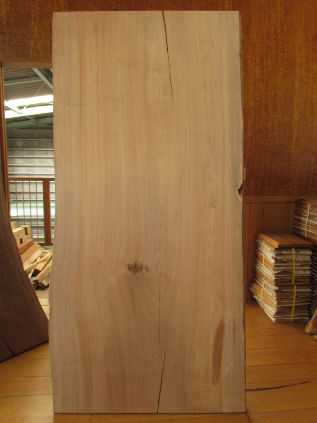 シゾメリア　一枚板