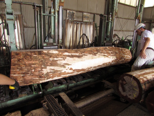 浅田（アサダ）　無垢材