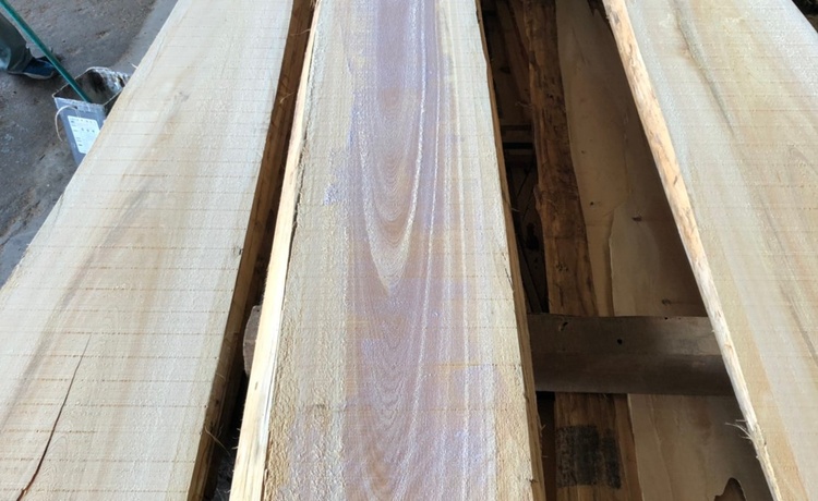 国内最高級の材のひとつ“木曽檜（キソヒノキ）”を製材