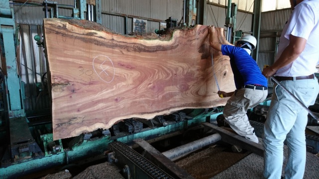 椨（タブ）　無垢材