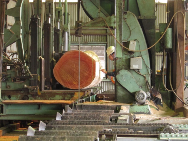 カナリューム　無垢材