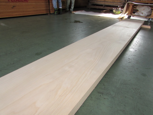 銀杏（イチョウ）　一枚板