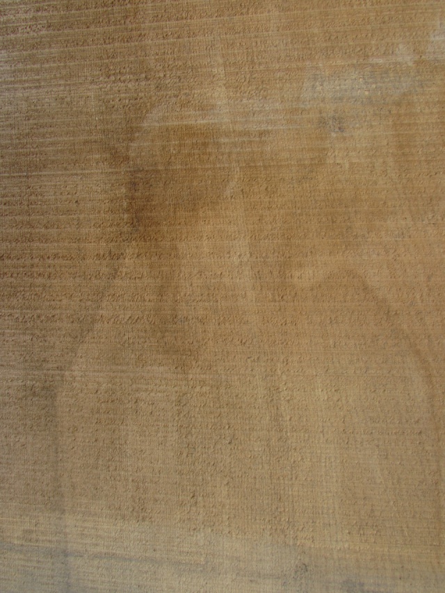 米檜葉（ベイヒバ）　一枚板