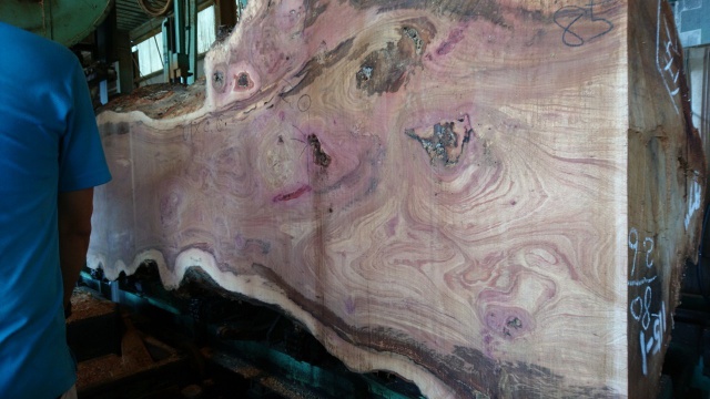 椨（タブ）　無垢材