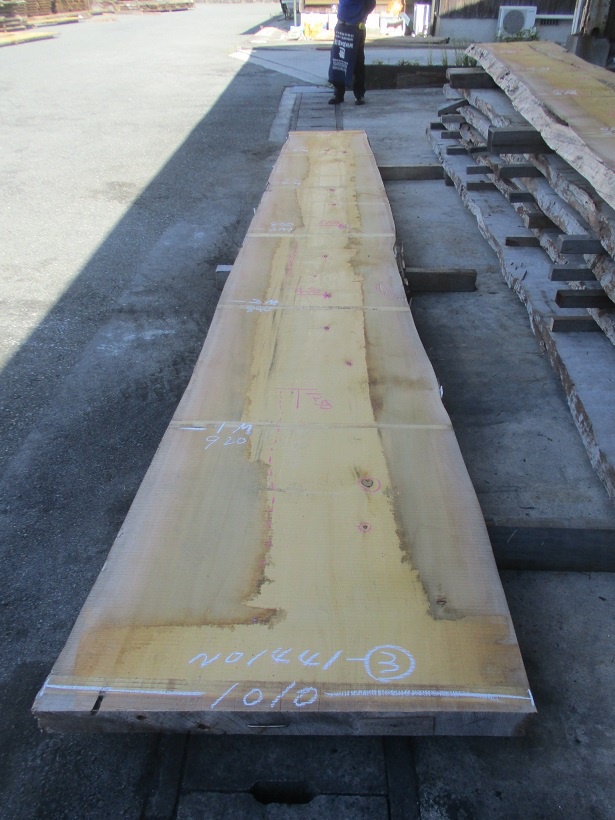 米檜葉（ベイヒバ）　一枚板