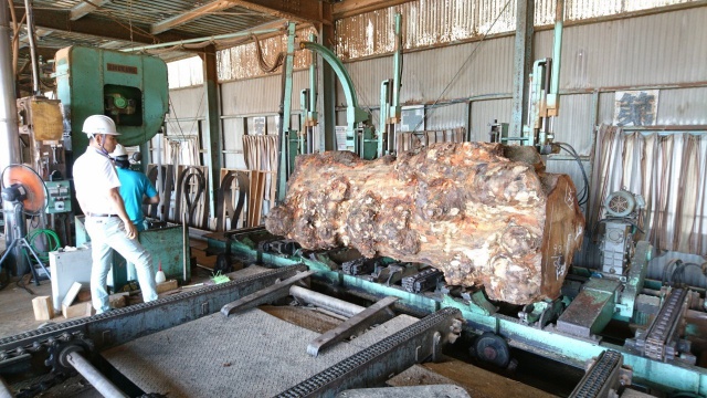 椨（タブ）　無垢材