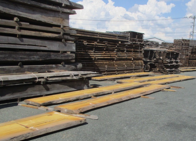 米檜葉ベイヒバ）　一枚板